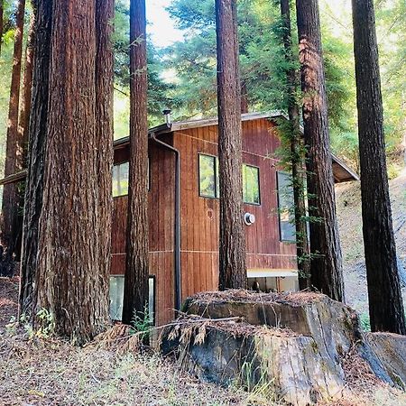 Apartament Little House In The Redwoods With A Hot Tub! Garberville Zewnętrze zdjęcie