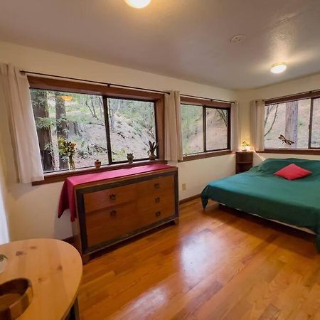 Apartament Little House In The Redwoods With A Hot Tub! Garberville Zewnętrze zdjęcie
