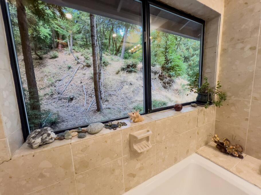 Apartament Little House In The Redwoods With A Hot Tub! Garberville Zewnętrze zdjęcie