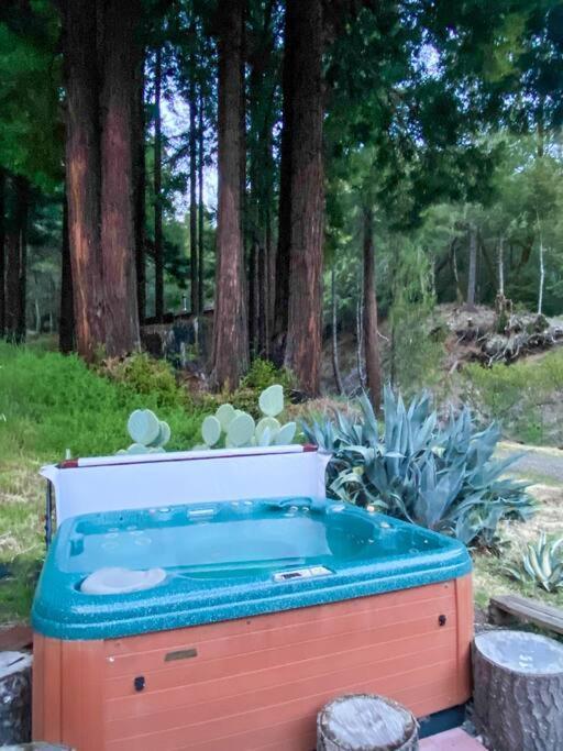 Apartament Little House In The Redwoods With A Hot Tub! Garberville Zewnętrze zdjęcie