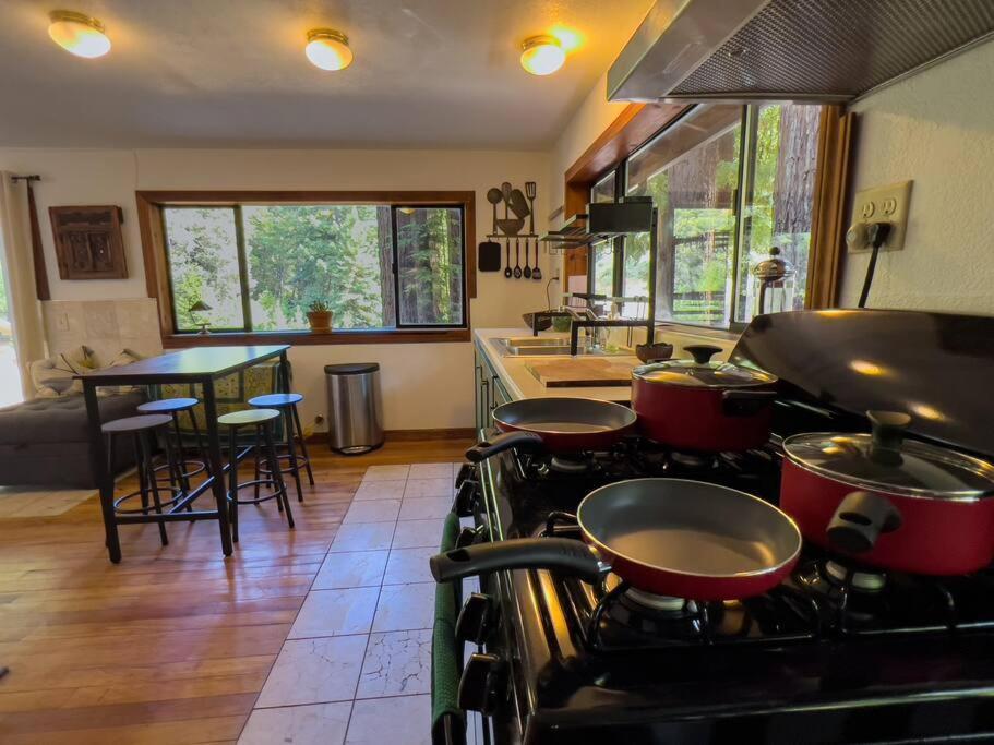 Apartament Little House In The Redwoods With A Hot Tub! Garberville Zewnętrze zdjęcie