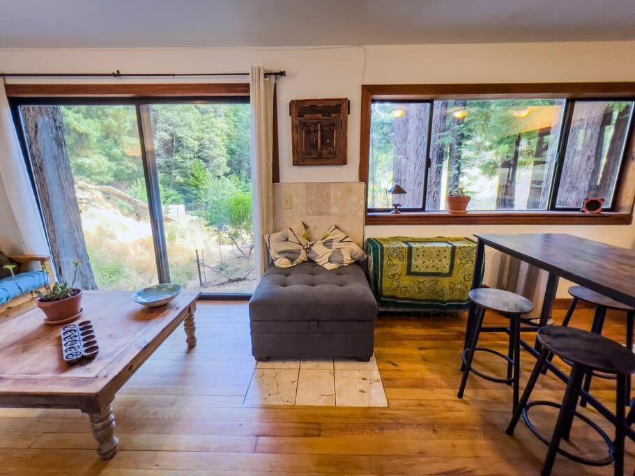 Apartament Little House In The Redwoods With A Hot Tub! Garberville Zewnętrze zdjęcie